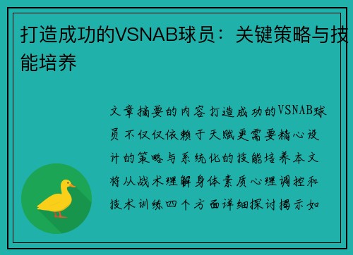 打造成功的VSNAB球员：关键策略与技能培养